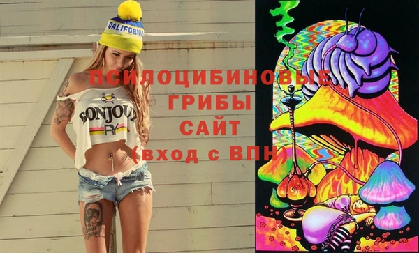 хмурый Елабуга