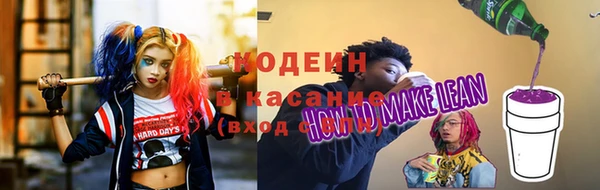 дмт Дмитров