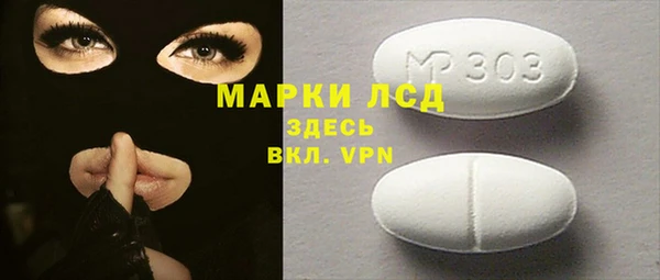стафф Ельня