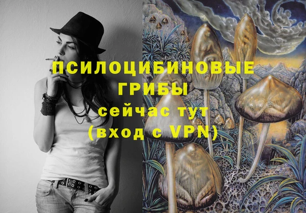 стафф Ельня