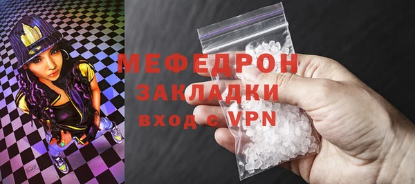 стафф Ельня