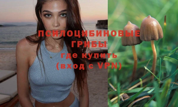 дмт Дмитров