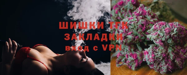 стафф Ельня